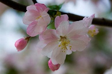 牧场新作《丰收之月：安托斯之风》公布游戏截图